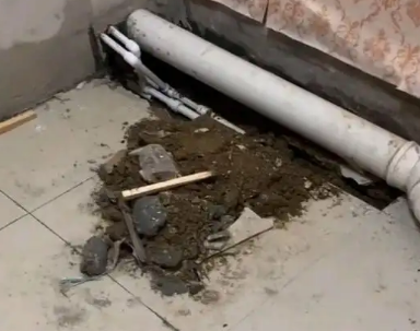 霍尔果斯卫生间漏水检测哪家好